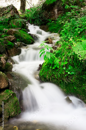 Fototapeta Naklejka Na Ścianę i Meble -  River with small waterfalls