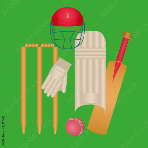Cricket Icons Set Vector. Cricketer Accessories. Bat, Gloves, Helmet, Ball. Isolated Flat Cartoon colorful Illustration