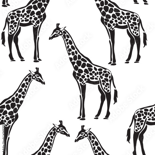 Fototapeta Naklejka Na Ścianę i Meble -  vector illustration of giraffe