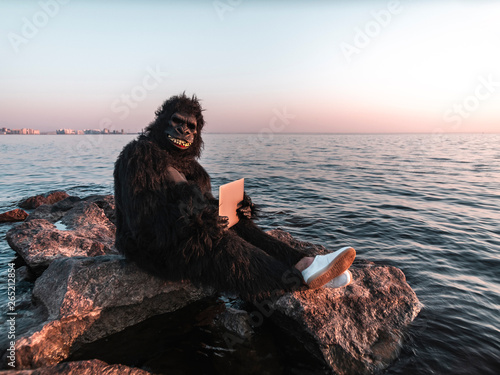 Canvas Print A man in a monkey costume at sunset near the sea works on a computer