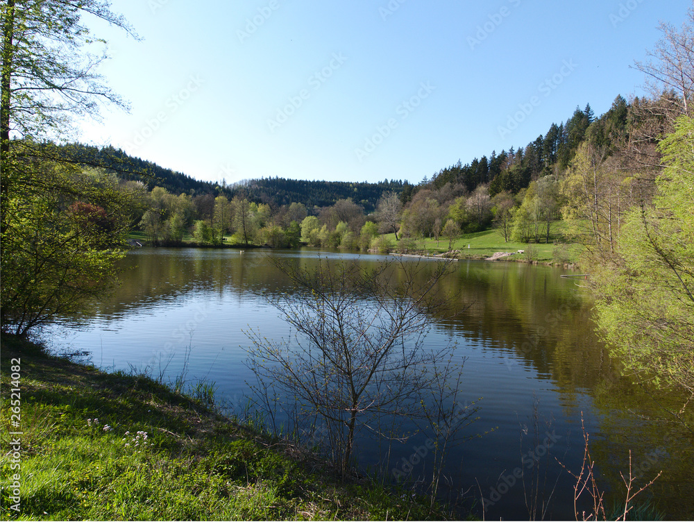the bathing lake diebach in fichtenberg at germany baden württemberg
