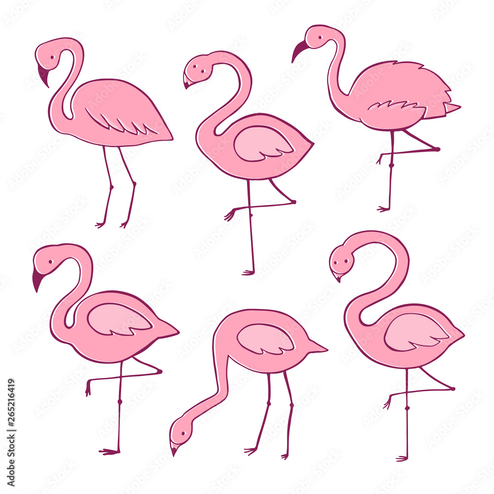 Fototapeta premium Pink flamingo vector cartoon flat set. Exotic tropical bird icons collection