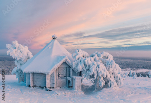 Small hexagonal cabin covered in snow photo