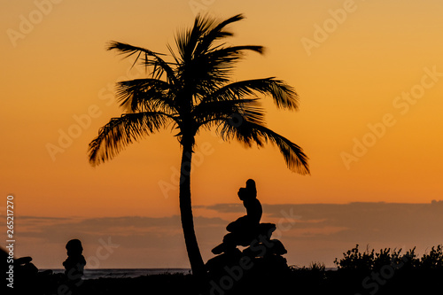 Silhuette of palm tree and rocks at the beach © Roberto