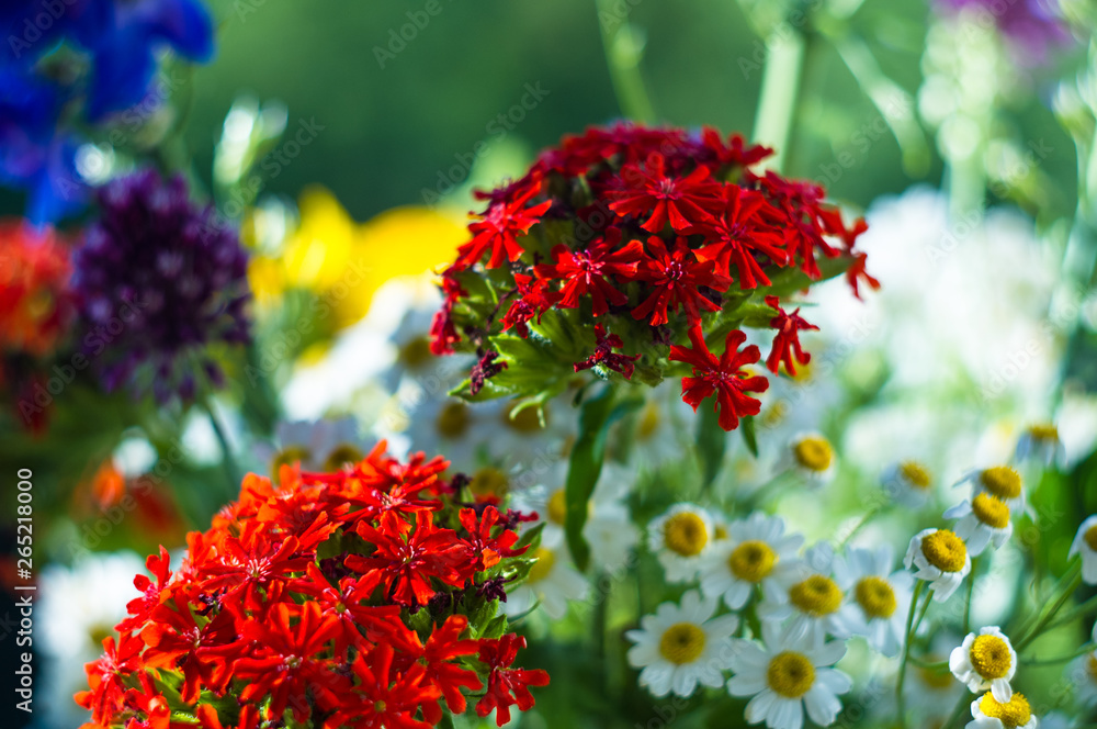 a bouquet of bright spring flowers of various types a bouquet of bright spring flowers of various types