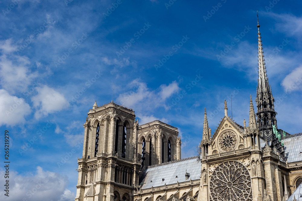 Obraz premium Notre-Dame de Paris