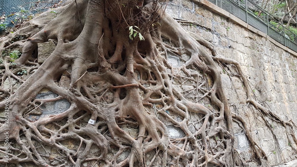 Fester Halt auf Steinen
