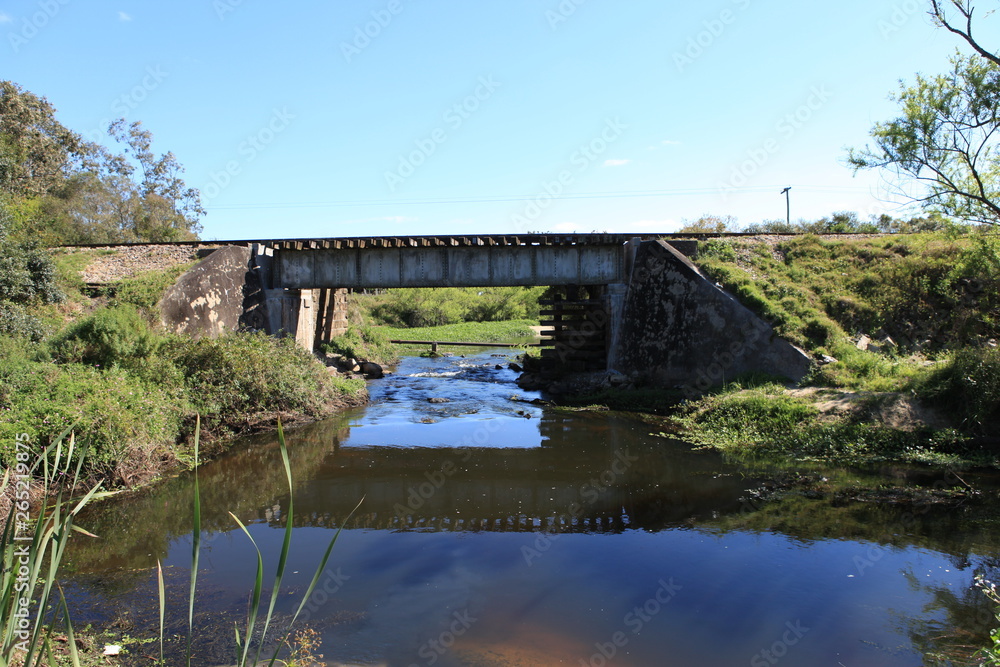 Fototapeta premium bridge over the river