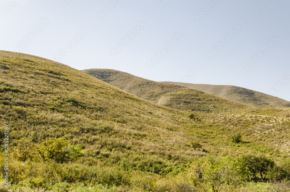 Beautiful green mountains and hills in Kazakhstan in the summer.
