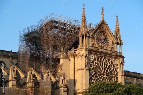 Cathédrale Notre-Dame de Paris après l'incendie du 15 avril 2019, vue sur le pignon sud noirci, la rosace et l'échafaudage (France)