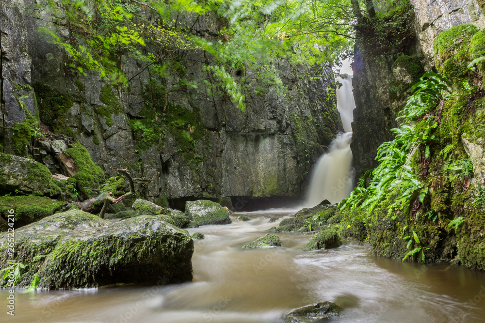 Spectacular hidden waterfall in deep forest - Catrigg Force, Yorkshire Dales Spectacular hidden waterfall in deep forest - Catrigg Force, Yorkshire Dales