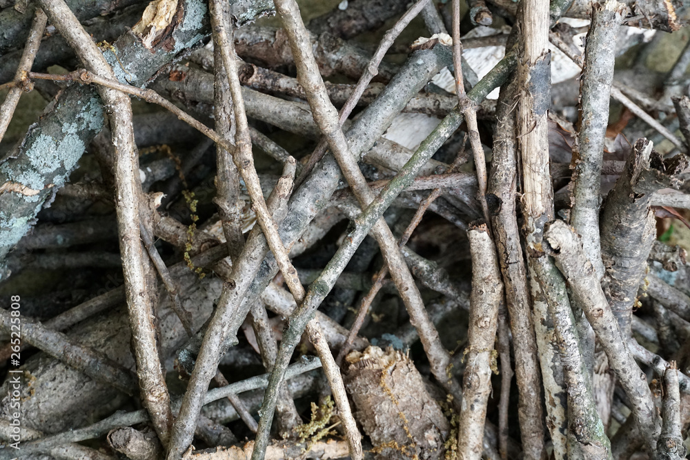 Closeup of pile of dry tree branches, twigs, and organic debris Closeup of pile of dry tree branches, twigs, and organic debris