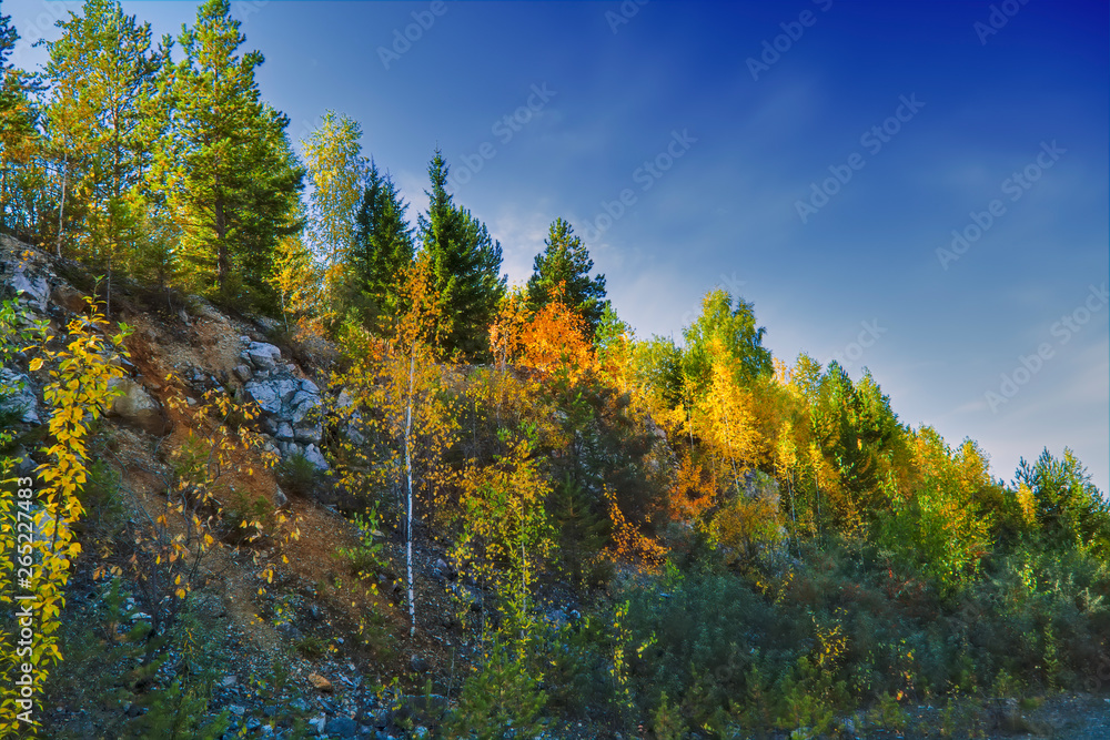 Beautiful autumn landscape at sunset in the mountains