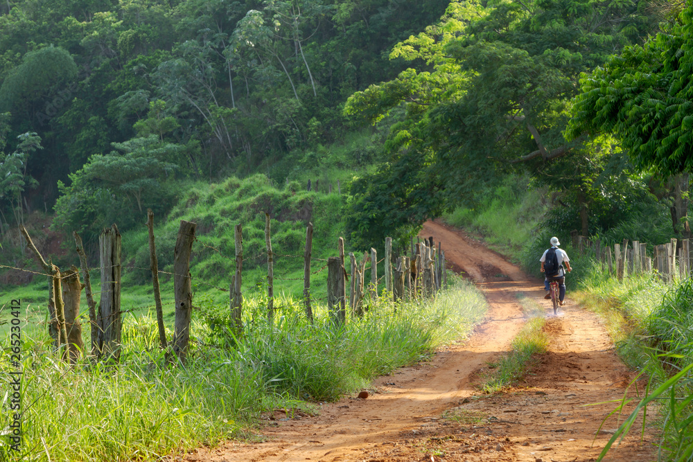 Homem de bicicleta em estrada rural brasileira Homem de bicicleta em estrada rural brasileira