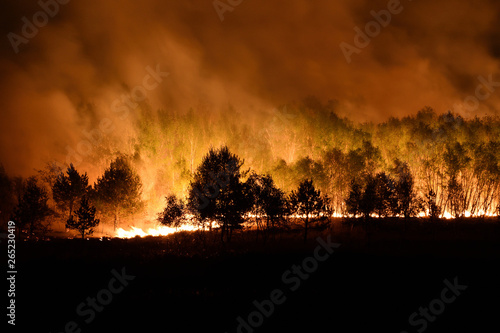 Waldbrand