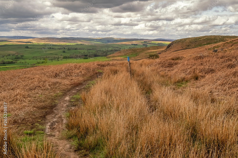 A Dales High Way is a long-distance footpath in northern England. It is 90 miles long and runs from Saltaire in West Yorkshire to Appleby. This section is between Skipton & Malham