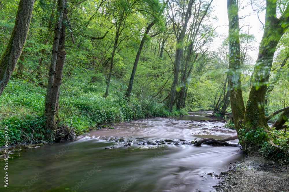 Obraz premium Steam at the knapp and Papermill nature reserve near Alfrick Worcestershire