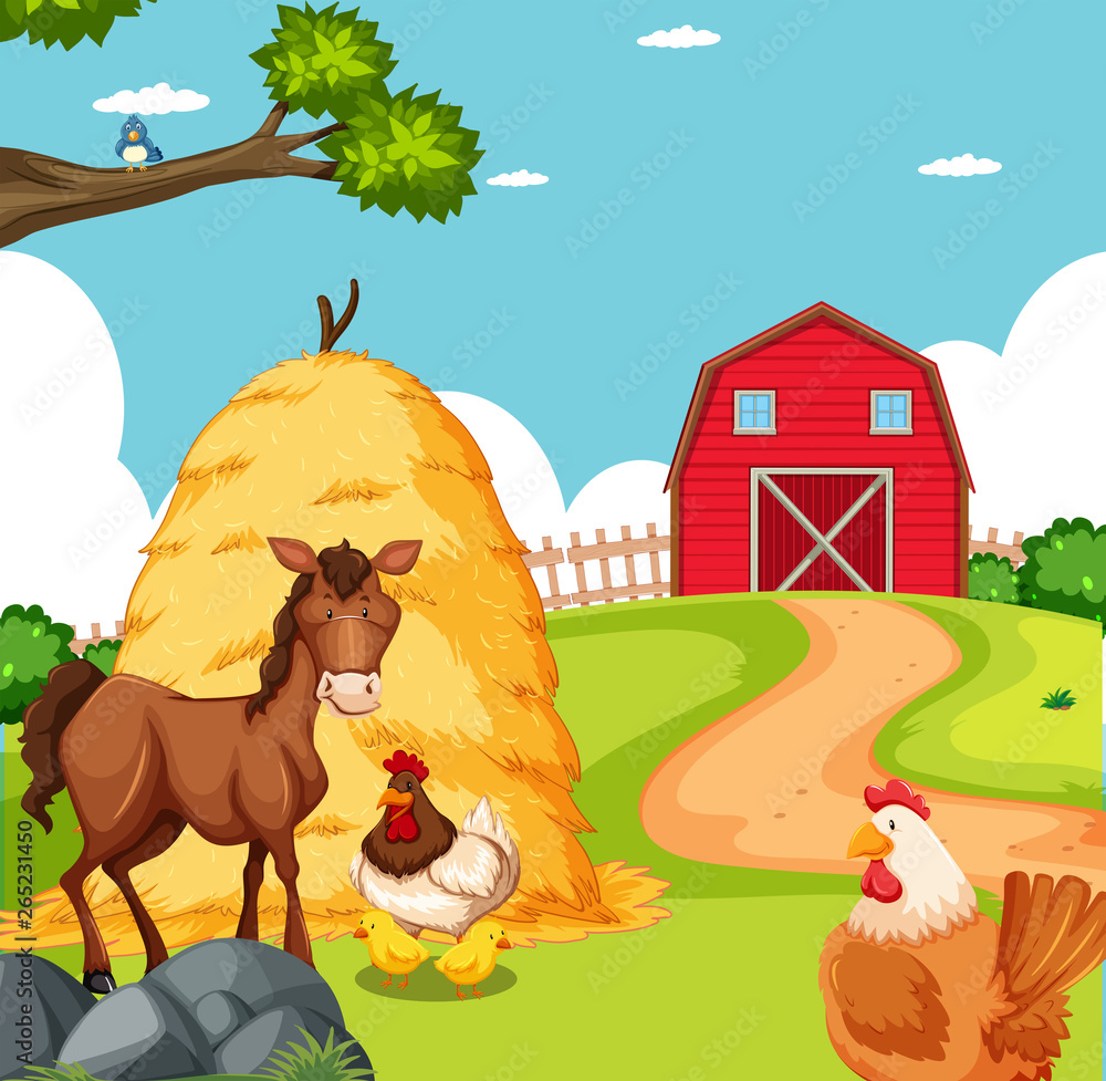 Fototapeta premium Animal at farmland scene