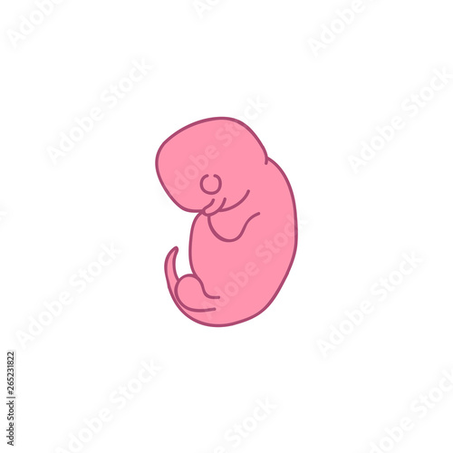 fetus 3 month doodle icon