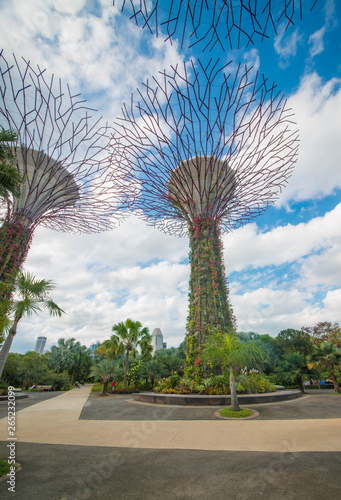 Gardens by the bay park in Singapore. © joseduardo