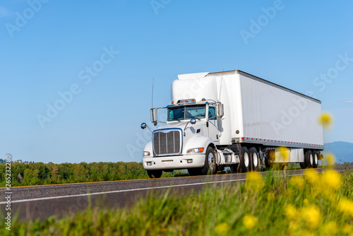 Fototapeta Naklejka Na Ścianę i Meble -  Big rig white day cab semi truck for local deliveries with long box semi trailer driving on the summer road with yellow flowers