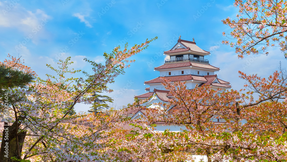 Aizu -Wakamatsu Castle with cherry blossom in Aizuwakamatsu, Japan Aizu -Wakamatsu Castle with cherry blossom in Aizuwakamatsu, Japan