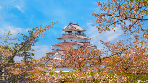 Aizu -Wakamatsu Castle with cherry blossom in Aizuwakamatsu, Japan photo