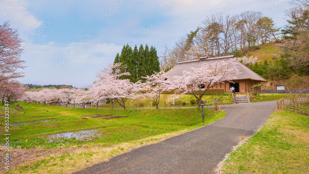 Fototapeta premium Michinoku Folklore Village in Kitakami, Japan