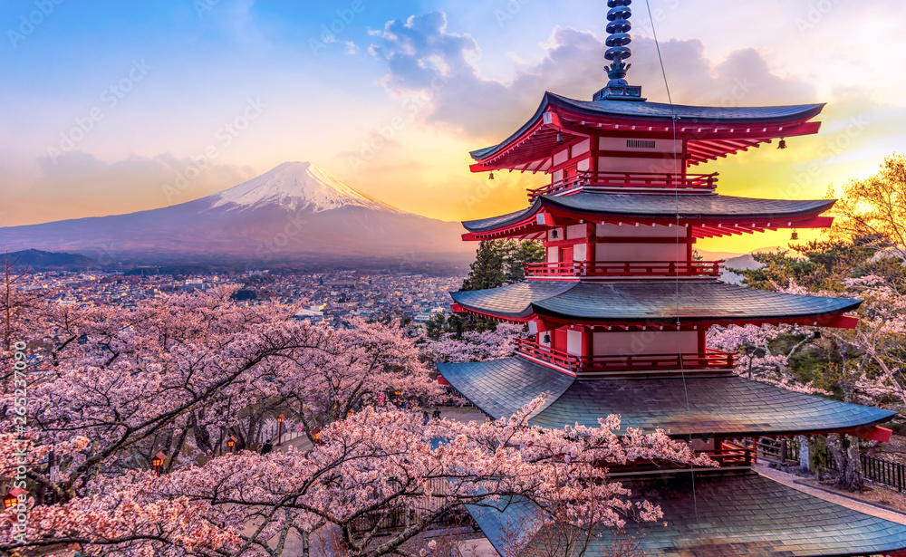Fototapeta Fujiyoshida, Japonia Piękny widok na góry Fuji i Chureito pagoda o zachodzie słońca, Japonia na wiosnę z wiśniowymi kwiatami