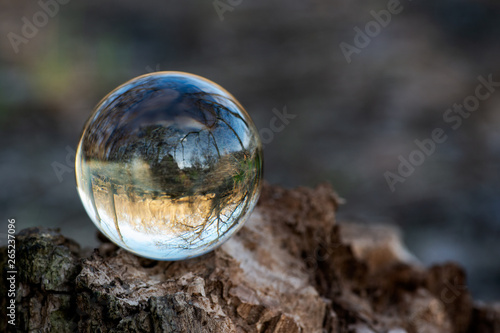 Clear Quartz Sphere on bark, rhytidome, reflecting lake, forest and sky.