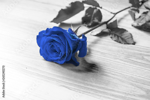 niebieska-roza