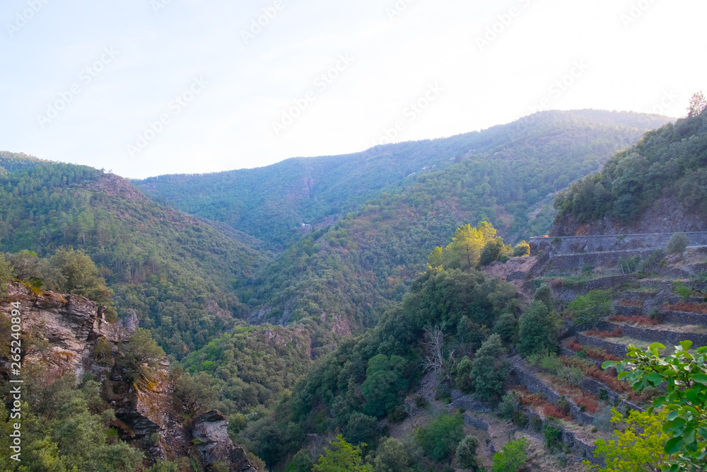 Mountains and valley