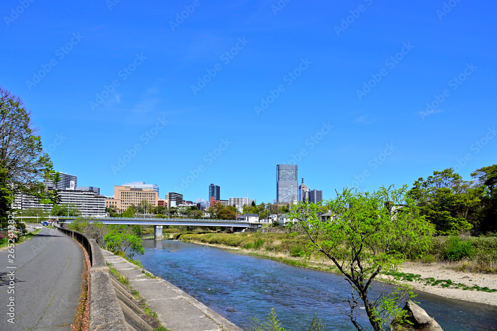 広瀬川より評定河原橋と仙台市市内を望む