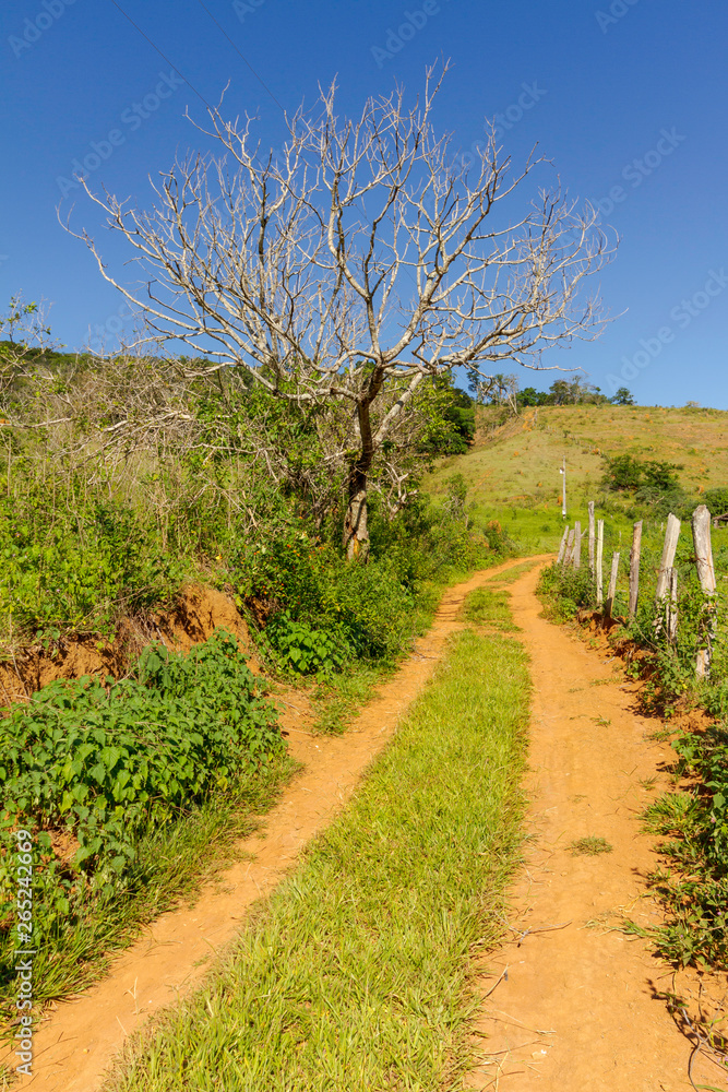 Fototapeta premium Estrada rural brasileira