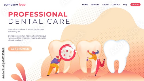 Banner Inscription Professional Dental Care Flat.