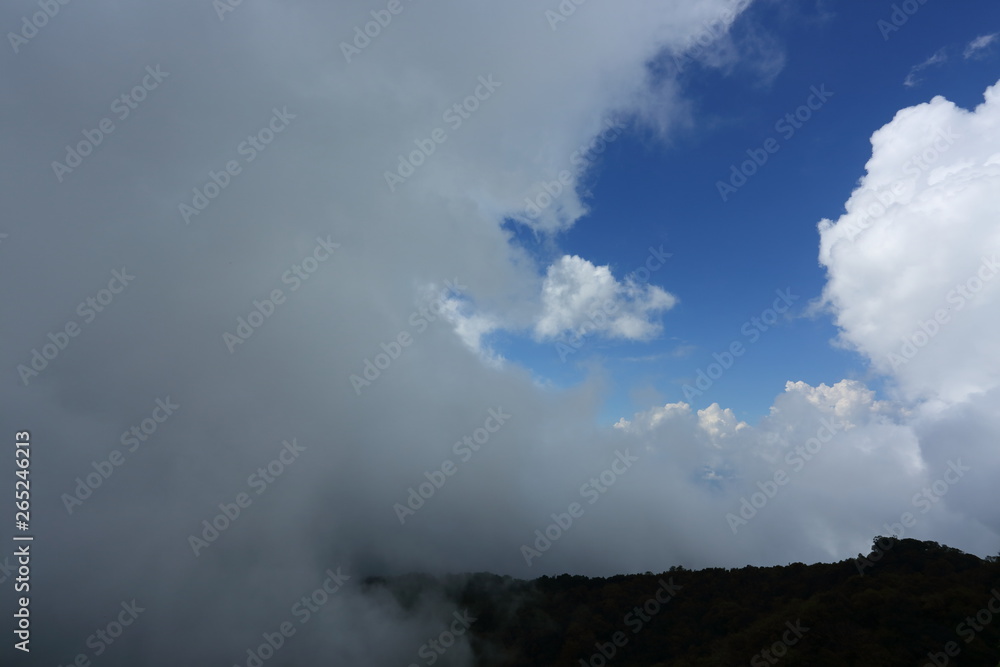 fluffy mist cloud on sky above evergreen mountain of green jungle woods