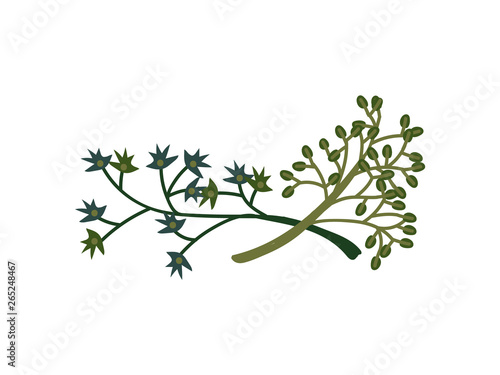 Green Twigs, Natural Design Element for Wedding Invitation, Save the Date, Greeting Card, Poster, Quote Vector Illustration