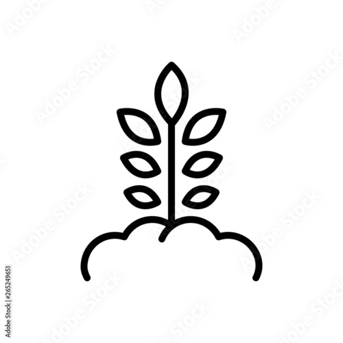 Black line icon for origination grow