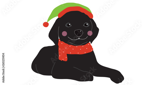 Cute dogs wearing Santa clause hat