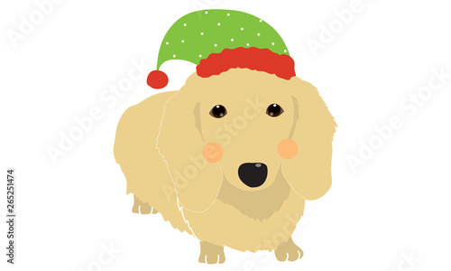 Cute dogs wearing Santa clause hat