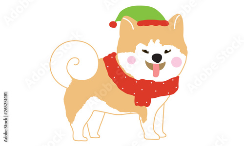 Cute dogs wearing Santa clause hat