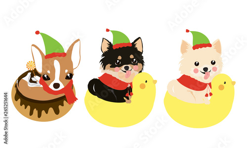 Cute dogs wearing Santa clause hat