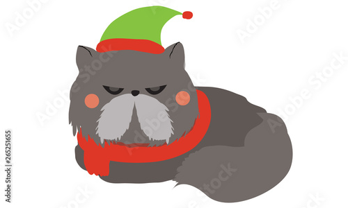 Cute cat wearing Santa clause hat