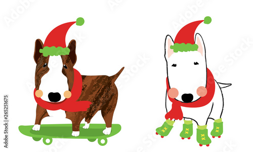 Cute dogs wearing Santa clause hat