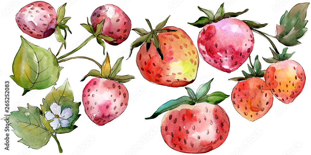 Strawberry healthy food. Watercolor background illustration set. Isolated berry illustration element. Strawberry healthy food. Watercolor background illustration set. Isolated berry illustration element.