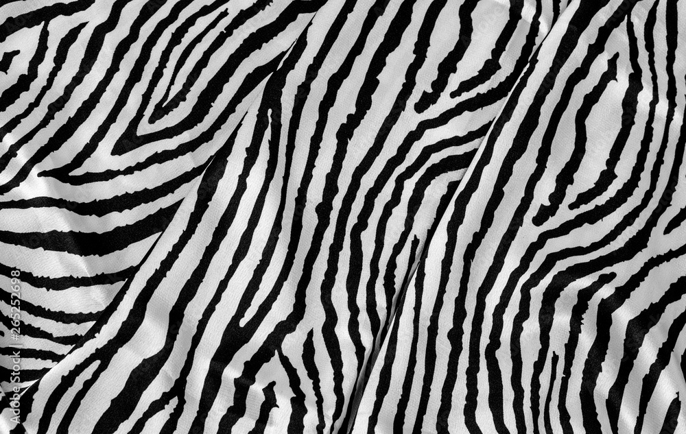 animal zebra skin animal zebra skin