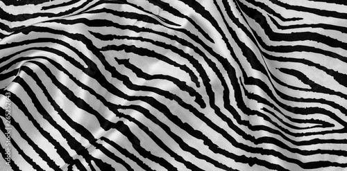 animal zebra skin
