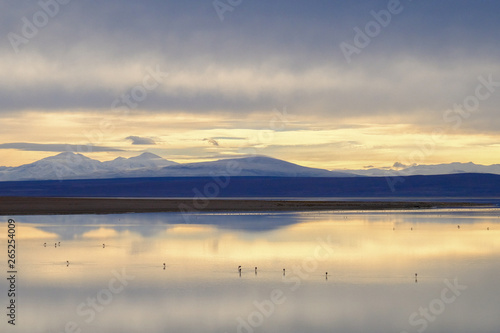 Wallpaper Mural Meet sunrise on the lake. Atacama Desert / Altiplano, Chilean-Bolivian Border Torontodigital.ca