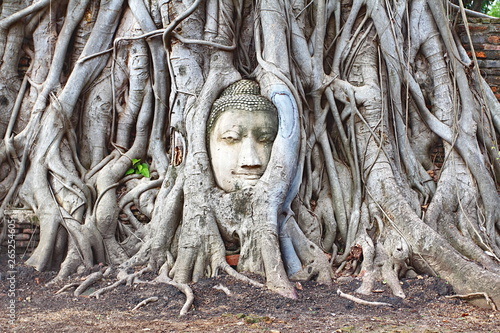 Head Buddha statue in the fig tree roots at Wat Mahathat  is Temple and famous tourist attraction Ayutthaya province, Thailand © photopiam