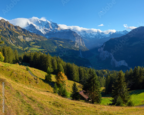 Mountain autumn panorama with Jungfrau peak near Swiss Alpine village Wengen in Switzerland.